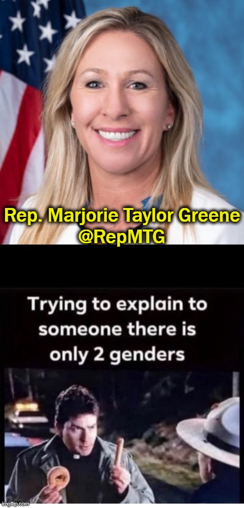 Tweet :) | Rep. Marjorie Taylor Greene
@RepMTG | image tagged in politics,tweet,funny,imgflip humor,howtobasic,politics lol | made w/ Imgflip meme maker