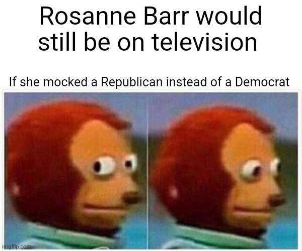 Monkey Puppet | Rosanne Barr would still be on television; If she mocked a Republican instead of a Democrat | image tagged in memes,monkey puppet | made w/ Imgflip meme maker