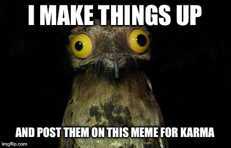 Weird Stuff I Do Potoo Meme | I MAKE THINGS UP AND POST THEM ON THIS MEME FOR KARMA | image tagged in weird stuff i do potoo | made w/ Imgflip meme maker