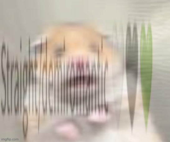 NO NOT DREAMSEXUAL | made w/ Imgflip meme maker