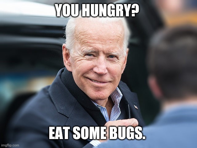 Bug appetit. | YOU HUNGRY? EAT SOME BUGS. | image tagged in smug biden | made w/ Imgflip meme maker