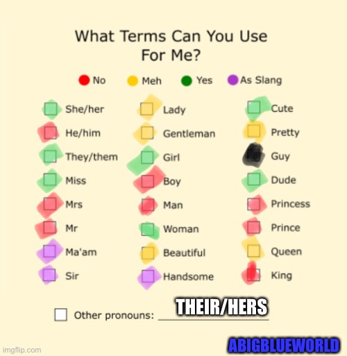 She/her are my main pronouns | THEIR/HERS; ABIGBLUEWORLD | made w/ Imgflip meme maker