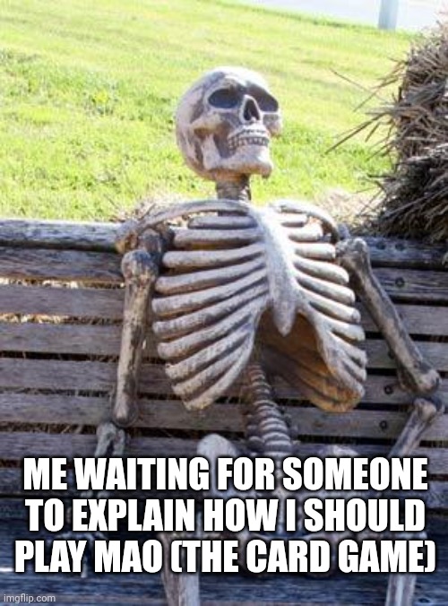 No really, how do I play guys? | ME WAITING FOR SOMEONE TO EXPLAIN HOW I SHOULD PLAY MAO (THE CARD GAME) | image tagged in memes,waiting skeleton | made w/ Imgflip meme maker