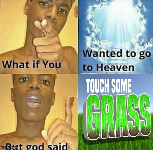 go touch some grass | image tagged in what if you wanted to go to heaven,touch some grass | made w/ Imgflip meme maker