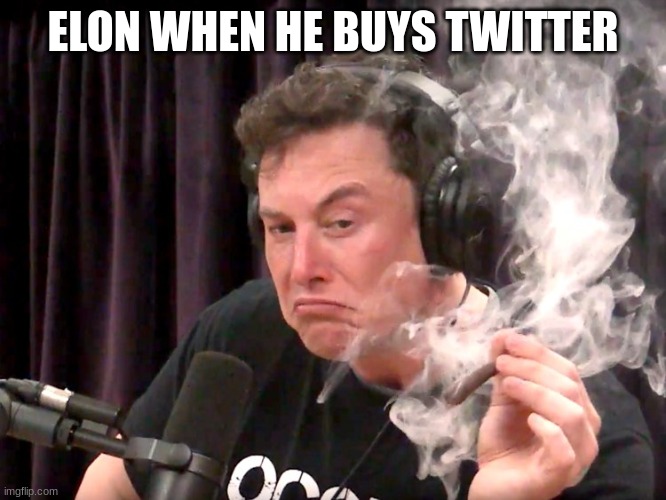 Elon Musk Weed | ELON WHEN HE BUYS TWITTER | image tagged in elon musk weed | made w/ Imgflip meme maker