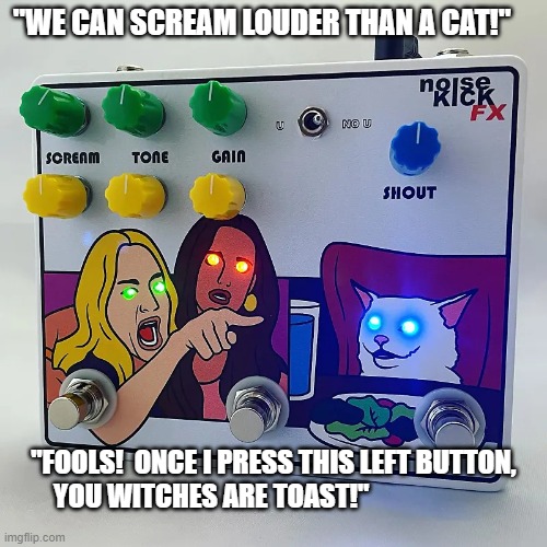 woman yelling at cat box | "WE CAN SCREAM LOUDER THAN A CAT!"; "FOOLS!  ONCE I PRESS THIS LEFT BUTTON, YOU WITCHES ARE TOAST!" | image tagged in woman yelling at cat box | made w/ Imgflip meme maker