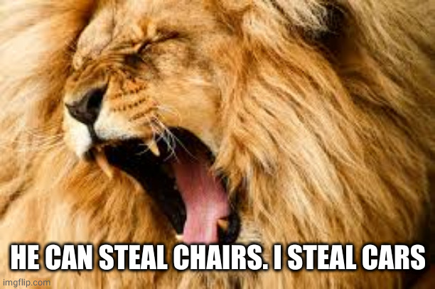 Lion roaring | HE CAN STEAL CHAIRS. I STEAL CARS | image tagged in lion roaring | made w/ Imgflip meme maker