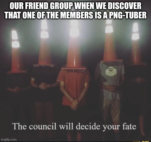 the council will decide your fate | OUR FRIEND GROUP WHEN WE DISCOVER THAT ONE OF THE MEMBERS IS A PNG-TUBER | image tagged in the council will decide your fate | made w/ Imgflip meme maker