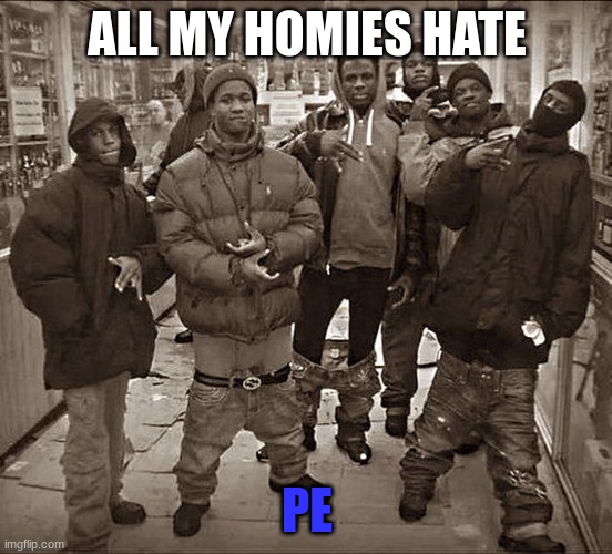 All My Homies Hate | ALL MY HOMIES HATE; PE | image tagged in all my homies hate | made w/ Imgflip meme maker