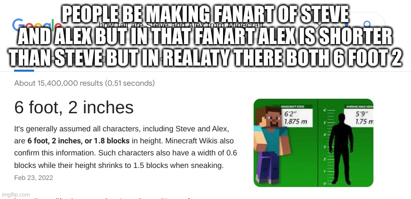 PEOPLE BE MAKING FANART OF STEVE AND ALEX BUT IN THAT FANART ALEX IS SHORTER THAN STEVE BUT IN REALATY THERE BOTH 6 FOOT 2 | image tagged in minecraft | made w/ Imgflip meme maker