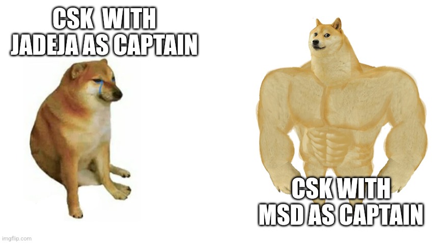 Swole Doge vs. Cheems flipped | CSK  WITH JADEJA AS CAPTAIN; CSK WITH MSD AS CAPTAIN | image tagged in swole doge vs cheems flipped | made w/ Imgflip meme maker