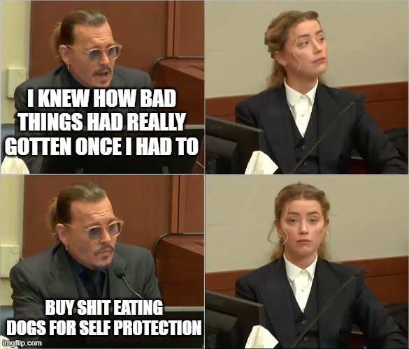 Depp Heard | I KNEW HOW BAD THINGS HAD REALLY GOTTEN ONCE I HAD TO; BUY SHIT EATING DOGS FOR SELF PROTECTION | image tagged in depp heard | made w/ Imgflip meme maker
