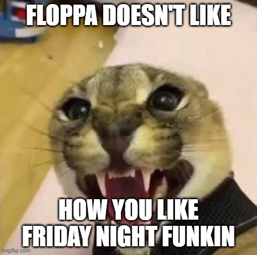 Floppa doesn't like your opinion | FLOPPA DOESN'T LIKE; HOW YOU LIKE FRIDAY NIGHT FUNKIN | image tagged in angry floppa | made w/ Imgflip meme maker
