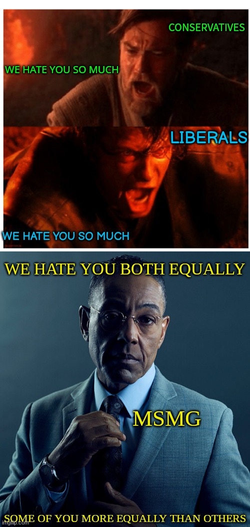 CONSERVATIVES; WE HATE YOU SO MUCH; LIBERALS; WE HATE YOU SO MUCH; WE HATE YOU BOTH EQUALLY; MSMG; SOME OF YOU MORE EQUALLY THAN OTHERS | image tagged in you were the chosen one blank,gus fring we are not the same | made w/ Imgflip meme maker