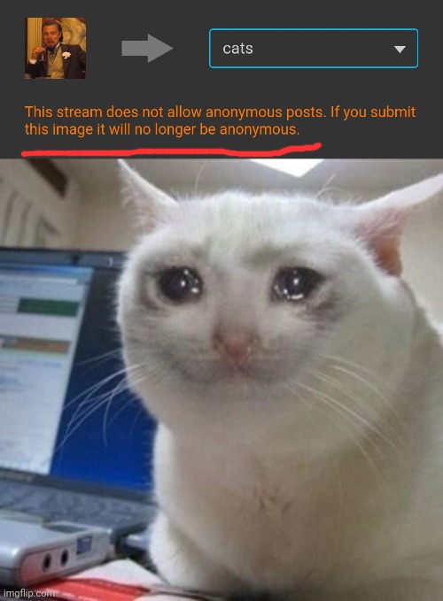 Welp, not even cats stream is anonymous friendly anymore | image tagged in crying cat | made w/ Imgflip meme maker