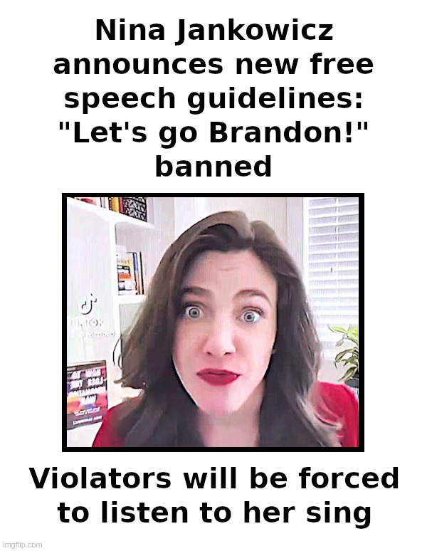 Big Sister Announces New Free Speech Guidelines | image tagged in nina jankowicz,big sister,government,censorship,free speech,banned | made w/ Imgflip meme maker