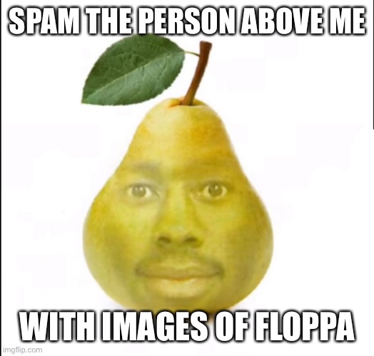 Tyler the creator | SPAM THE PERSON ABOVE ME; WITH IMAGES OF FLOPPA | image tagged in tyler the creator | made w/ Imgflip meme maker