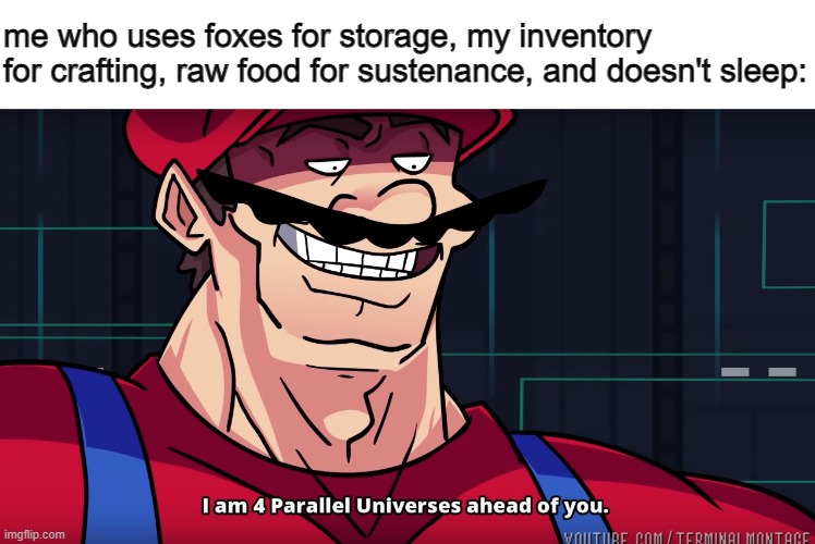 Mario I am four parallel universes ahead of you | me who uses foxes for storage, my inventory for crafting, raw food for sustenance, and doesn't sleep: | image tagged in mario i am four parallel universes ahead of you | made w/ Imgflip meme maker