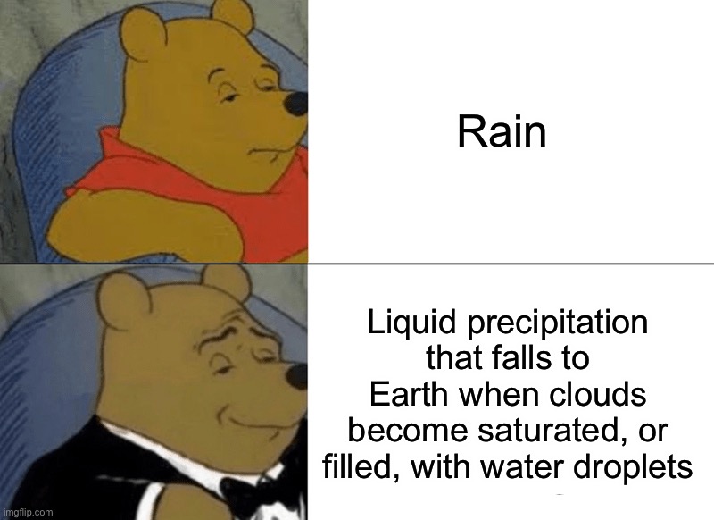 Rain | Rain; Liquid precipitation that falls to Earth when clouds become saturated, or filled, with water droplets | image tagged in memes,tuxedo winnie the pooh,funny,rain,genius,smart | made w/ Imgflip meme maker