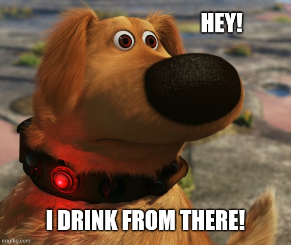 Doug “squirrel!” | HEY! I DRINK FROM THERE! | image tagged in doug squirrel | made w/ Imgflip meme maker