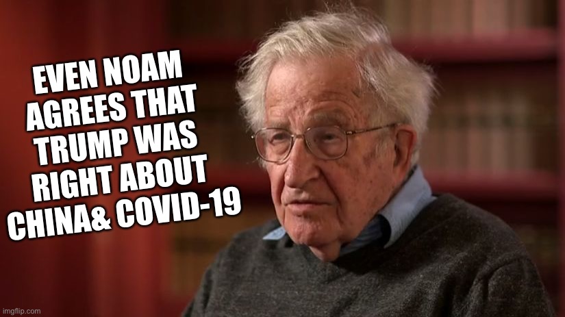 Noam C, Trump | EVEN NOAM
AGREES THAT
TRUMP WAS
RIGHT ABOUT
CHINA& COVID-19 | image tagged in noam chomsky,fun,money,meme | made w/ Imgflip meme maker