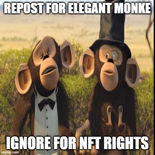 elegant monke | REPOST FOR ELEGANT MONKE; IGNORE FOR NFT RIGHTS | image tagged in monke,trending,memes,funny,gifs,not really a gif | made w/ Imgflip meme maker