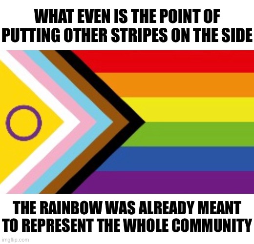 And I hate the word “community” but whatever | WHAT EVEN IS THE POINT OF PUTTING OTHER STRIPES ON THE SIDE; THE RAINBOW WAS ALREADY MEANT TO REPRESENT THE WHOLE COMMUNITY | made w/ Imgflip meme maker