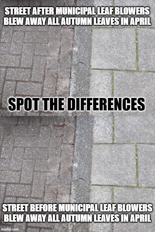 Spot the differences | STREET AFTER MUNICIPAL LEAF BLOWERS
BLEW AWAY ALL AUTUMN LEAVES IN APRIL; SPOT THE DIFFERENCES; STREET BEFORE MUNICIPAL LEAF BLOWERS
BLEW AWAY ALL AUTUMN LEAVES IN APRIL | image tagged in leaf blower,leafs,this is useless | made w/ Imgflip meme maker
