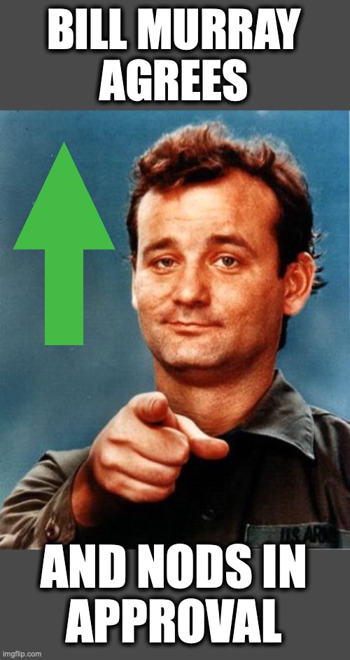Bill Murray  | BILL MURRAY
AGREES AND NODS IN
APPROVAL | image tagged in bill murray | made w/ Imgflip meme maker