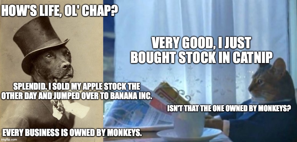 posh pets conversation | HOW'S LIFE, OL' CHAP? VERY GOOD, I JUST BOUGHT STOCK IN CATNIP; SPLENDID. I SOLD MY APPLE STOCK THE OTHER DAY AND JUMPED OVER TO BANANA INC. ISN'T THAT THE ONE OWNED BY MONKEYS? EVERY BUSINESS IS OWNED BY MONKEYS. | image tagged in fancy dog,memes,i should buy a boat cat | made w/ Imgflip meme maker