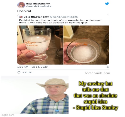 Person Drinks Snow Globe Contents. It Must Taste Nice. | image tagged in stupid idea stanley,memes | made w/ Imgflip meme maker