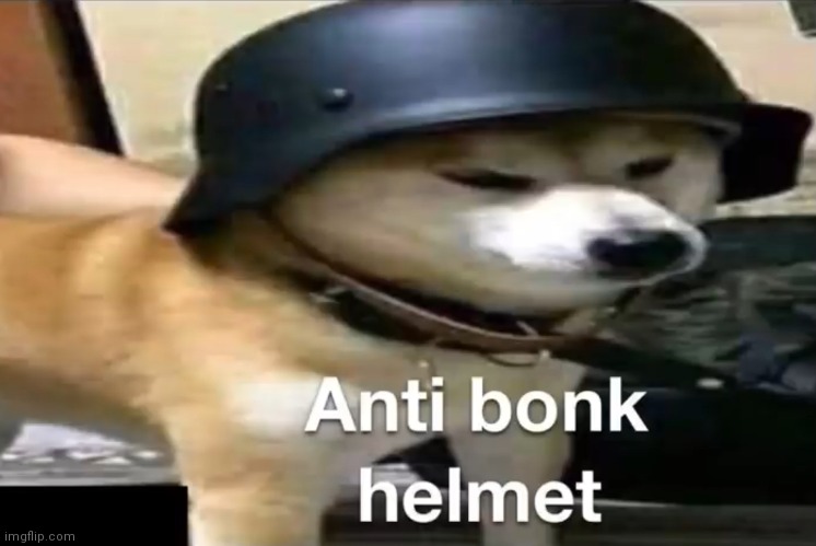 Doge Anti-bonk Helmet | image tagged in doge anti-bonk helmet | made w/ Imgflip meme maker