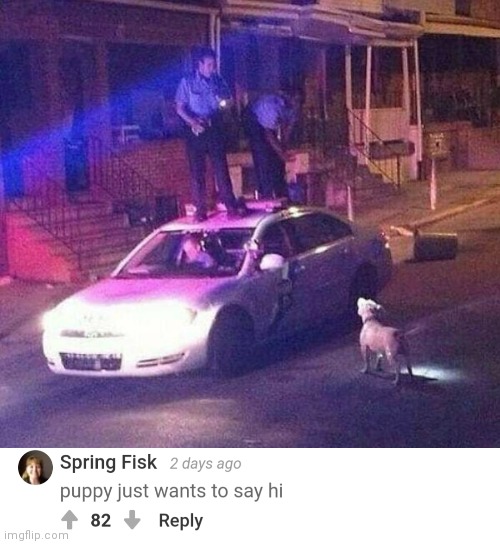 Woof woof | image tagged in puppy,dog,cursed,police,woof,comments | made w/ Imgflip meme maker