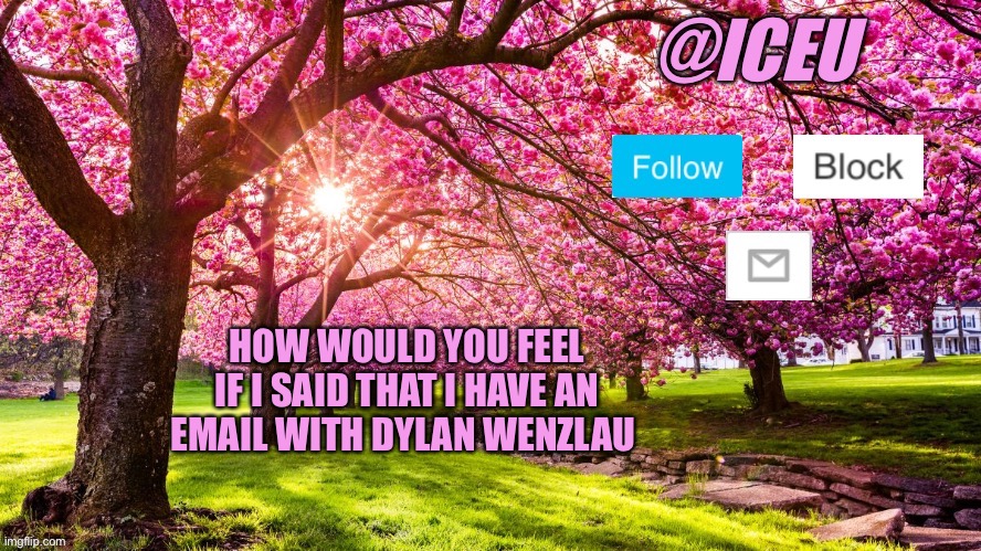 E | HOW WOULD YOU FEEL IF I SAID THAT I HAVE AN EMAIL WITH DYLAN WENZLAU | image tagged in iceu spring template | made w/ Imgflip meme maker