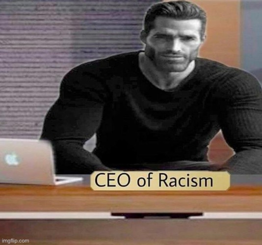 CEO of Racism | image tagged in ceo of racism | made w/ Imgflip meme maker