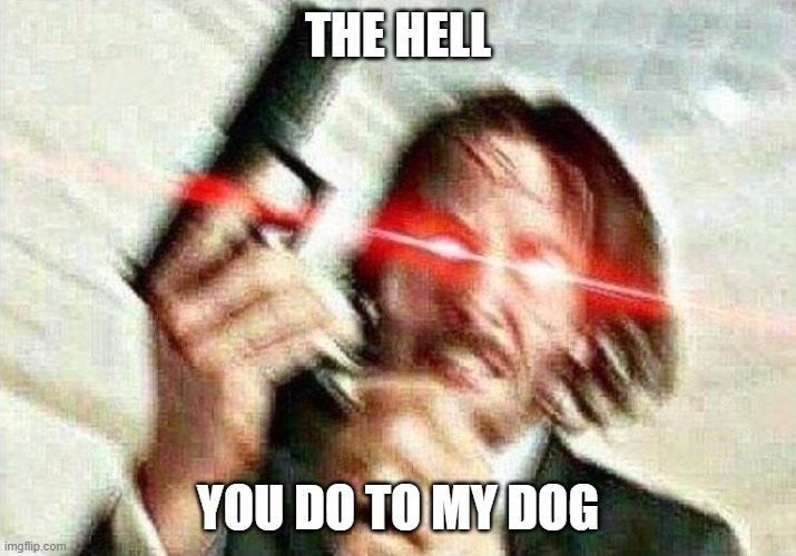 go die in a hole | THE HELL; YOU DO TO MY DOG | image tagged in john wick,crusade | made w/ Imgflip meme maker