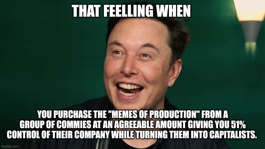 THAT FEELLING WHEN; YOU PURCHASE THE "MEMES OF PRODUCTION" FROM A GROUP OF COMMIES AT AN AGREEABLE AMOUNT GIVING YOU 51% CONTROL OF THEIR COMPANY WHILE TURNING THEM INTO CAPITALISTS. | image tagged in elon musk | made w/ Imgflip meme maker