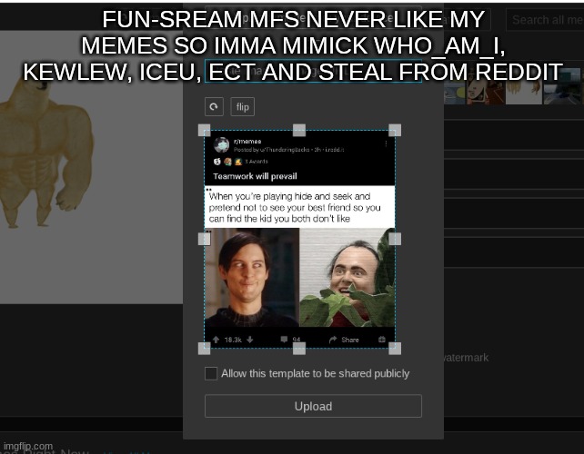 FUN-SREAM MFS NEVER LIKE MY MEMES SO IMMA MIMICK WHO_AM_I, KEWLEW, ICEU, ECT AND STEAL FROM REDDIT | made w/ Imgflip meme maker
