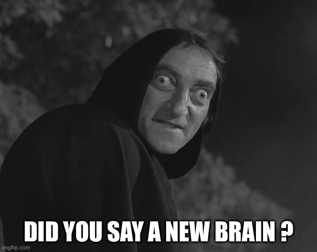 Igor | DID YOU SAY A NEW BRAIN ? | image tagged in igor | made w/ Imgflip meme maker
