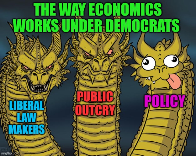 Three-headed Dragon | THE WAY ECONOMICS WORKS UNDER DEMOCRATS; PUBLIC OUTCRY; POLICY; LIBERAL LAW MAKERS | image tagged in three-headed dragon | made w/ Imgflip meme maker