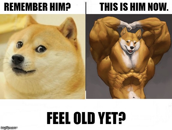 LMAO (By Samihameha) | REMEMBER HIM?                THIS IS HIM NOW. FEEL OLD YET? | image tagged in feel old yet,furry,memes,funny,doge | made w/ Imgflip meme maker