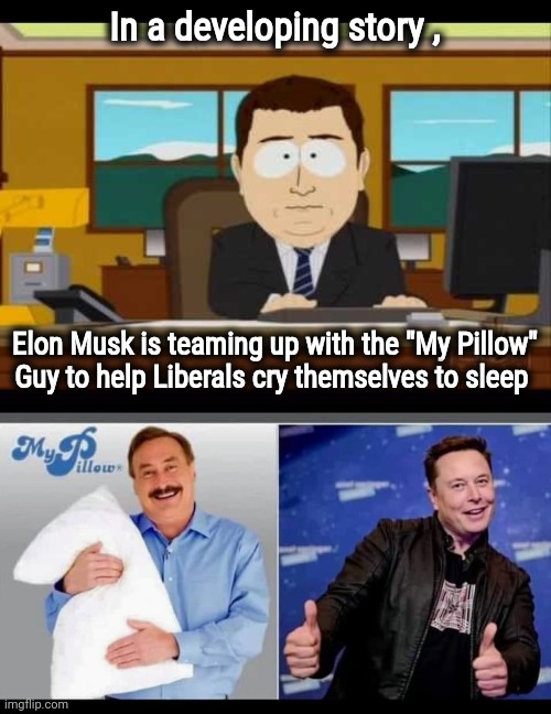 I hear he wants to buy CNN | In a developing story , Elon Musk is teaming up with the "My Pillow"
Guy to help Liberals cry themselves to sleep | image tagged in southpark reporter,elon musk,mike lindell,sleepover,take it easy,liberal tears | made w/ Imgflip meme maker