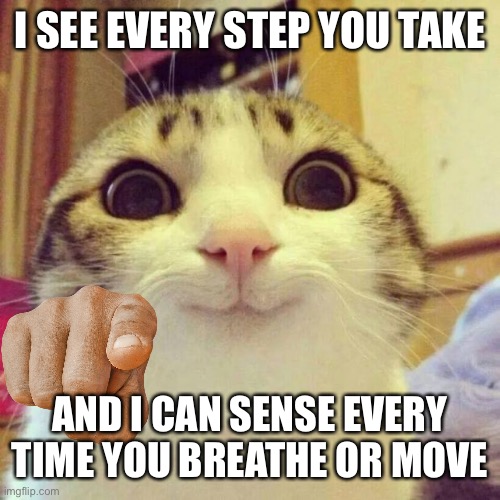 Smiling Cat | I SEE EVERY STEP YOU TAKE; AND I CAN SENSE EVERY TIME YOU BREATHE OR MOVE | image tagged in memes,smiling cat | made w/ Imgflip meme maker