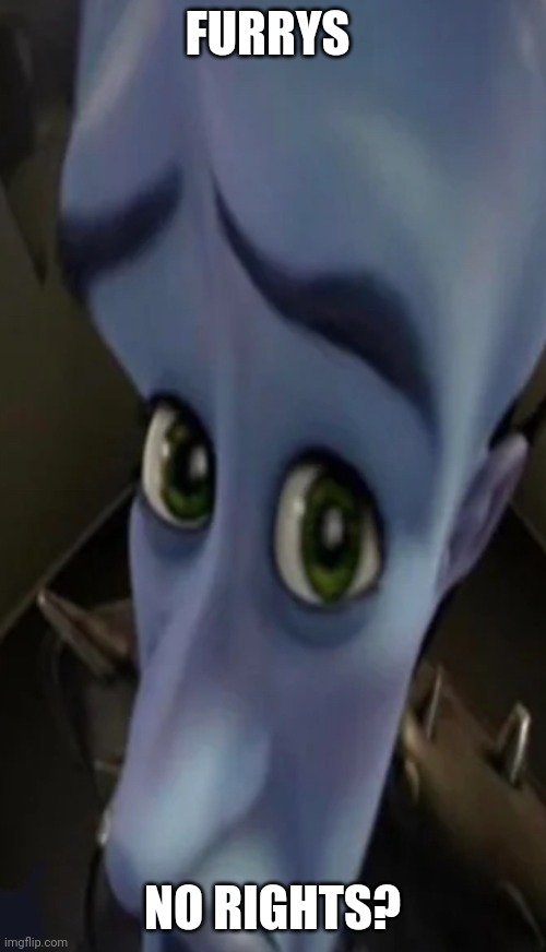 Megamind peeking | FURRYS; NO RIGHTS? | image tagged in no bitches | made w/ Imgflip meme maker