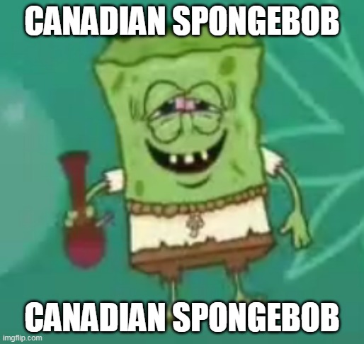 Let's spread Canadian SpongeBob all across furry and LGBTQ+ streams | CANADIAN SPONGEBOB; CANADIAN SPONGEBOB | made w/ Imgflip meme maker