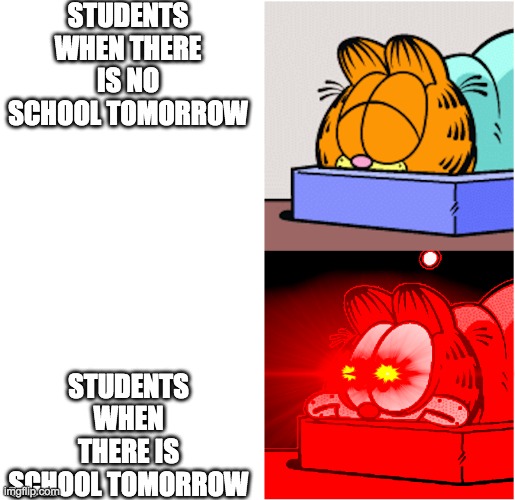 Students about schook | STUDENTS WHEN THERE IS NO SCHOOL TOMORROW; STUDENTS WHEN THERE IS SCHOOL TOMORROW | image tagged in woke garfield | made w/ Imgflip meme maker