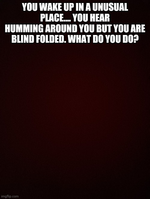 YOU WAKE UP IN A UNUSUAL PLACE.... YOU HEAR HUMMING AROUND YOU BUT YOU ARE BLIND FOLDED. WHAT DO YOU DO? | made w/ Imgflip meme maker