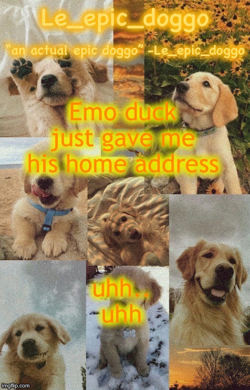 Doggo temp by doggo. Wait what that’s confusing | Emo duck just gave me his home address; uhh.. uhh | image tagged in doggo temp by doggo wait what that s confusing | made w/ Imgflip meme maker