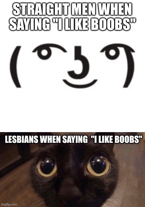 At least most of them | STRAIGHT MEN WHEN SAYING "I LIKE BOOBS"; LESBIANS WHEN SAYING  "I LIKE BOOBS" | image tagged in perverted lenny,cute cat,lesbian,boobs | made w/ Imgflip meme maker