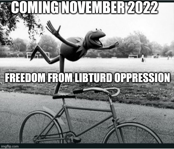 COMING NOVEMBER 2022 FREEDOM FROM LIBTURD OPPRESSION | made w/ Imgflip meme maker